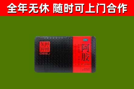 蓬溪回收阿胶
