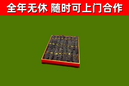 蓬溪回收海参